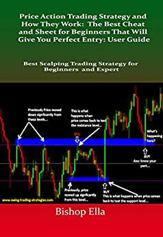 Price Action Trading Strategy: The Best Cheat and Sheet for Beginners That Will Give You Perfect Entry: User Guide - Original PDF