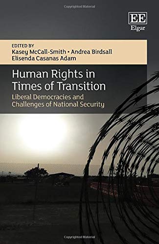 Human Rights in Times of Transition: Liberal Democracies and Challenges of National Security (The Association of Human Rights Institutes series) - Original PDF