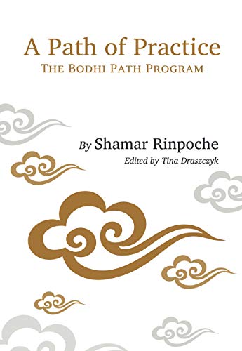 A Path of Practice: The Bodhi Path Program - Epub + Converted pdf