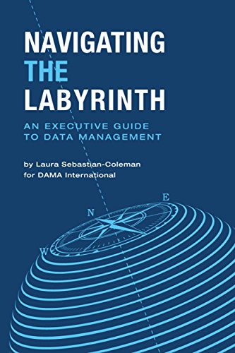Navigating the Labyrinth: An Executive Guide to Data Management - Epub + Converted pdf