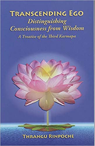 Transcending Ego: Distinguishing Consciousness from Wisdom - Epub + Converted pdf