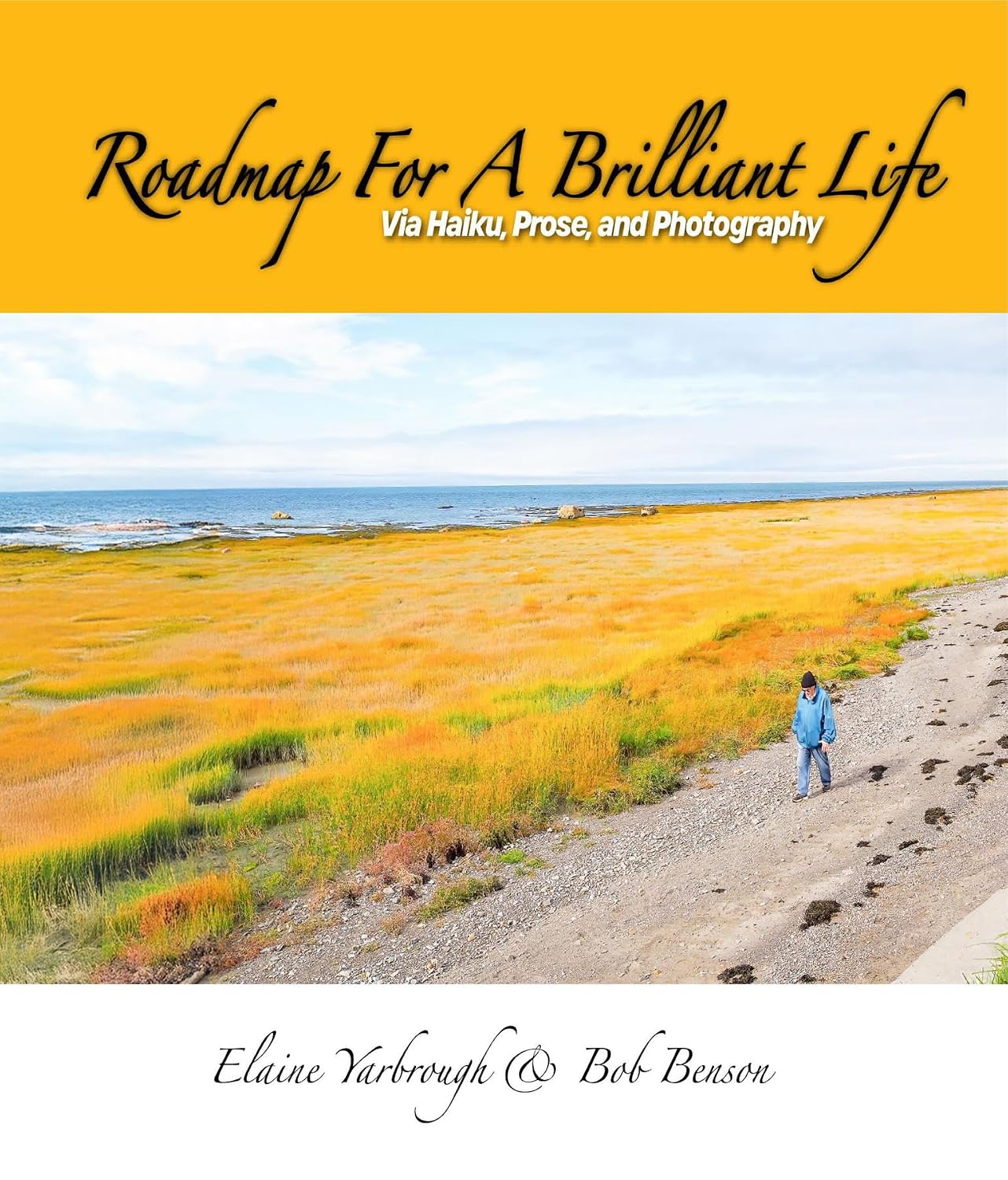 Roadmap for a Brilliant Life: Via Haiku, Prose, and Photography - Epub + Convereted Pdf