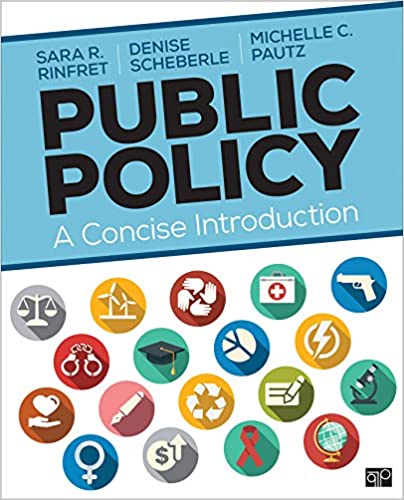 Public Policy: A Concise Introduction - Epub + Converted pdf