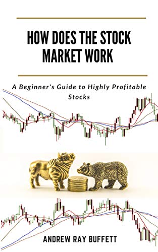 HOW DOES THE STOCK MARKET WORK: A Beginner's Guide to Highly Profitable Stocks - Epub + Converted PDF