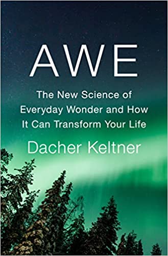 Awe: The New Science of Everyday Wonder and How It Can Transform Your Life - Epub + Converted Pdf