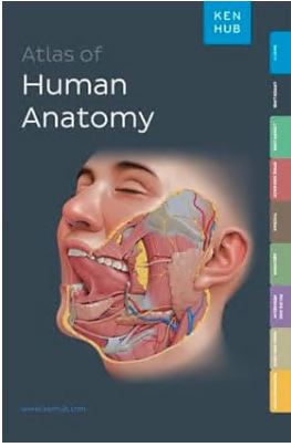 Kenhub Atlas of Human Anatomy - Orginal Pdf