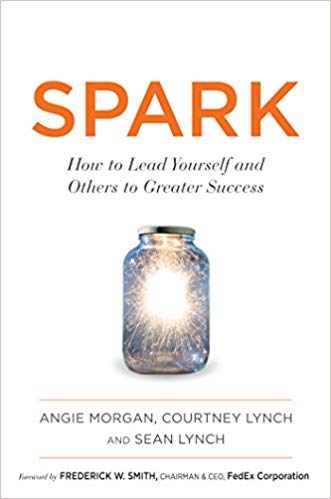 Spark:  How to Lead Yourself and Others to Greater Success