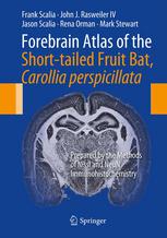 Forebrain Atlas of the Short-tailed Fruit Bat, Carollia perspicillata: Prepared by the Methods of Nissl and NeuN Immunohistochemistry - Original PDF