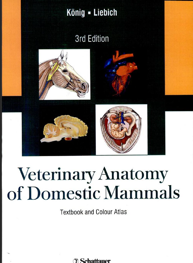 Veterinary Anatomy of Domestic Mammals 3rd edition - PDF