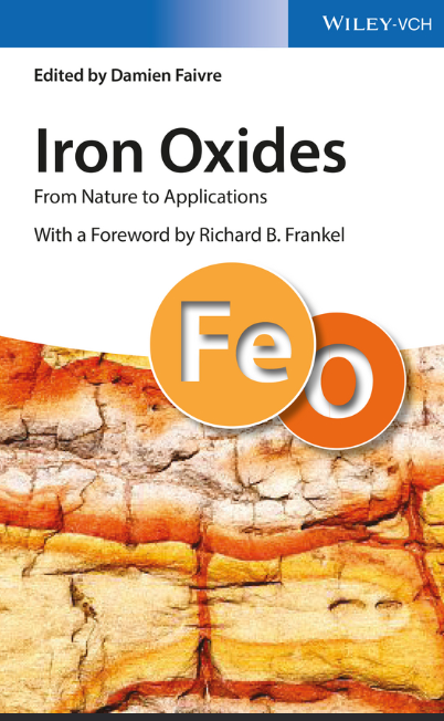 Iron Oxides by Damien Faivre - PDF