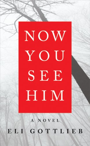 Now You See Him: A Novel - PDF