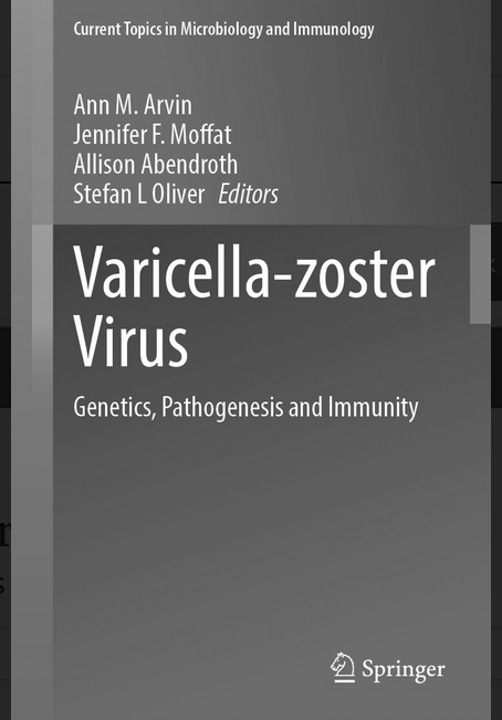 Varicella-zoster Virus - Original PDF