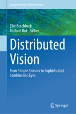 Distributed Vision - Original PDF